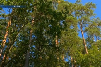 Фото: В Лидском районе охотники с разрешения охотничьего хозяйства отстрелили чёрного волка Фото: В Лидском районе охотники с разрешения охотничьего хозяйства отстрелили чёрного волка