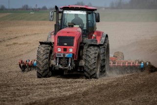 Фото: В Беларуси посеяли 63 процента ранних яровых зерновых и зернобобовых