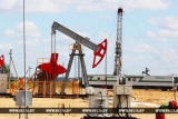 Фото: "Нефтяной" маршрут представят туроператорам на семинаре в Гомельской области