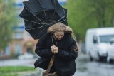 Фото: Шквалистый ветер и сильные дожди: оранжевый уровень опасности объявлен в Беларуси на 5 сентября Фото: Шквалистый ветер и сильные дожди: оранжевый уровень опасности объявлен в Беларуси на 5 сентября