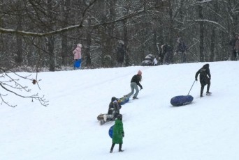 Фото: Как избежать травм при катании на тюбингах? Фото: Как избежать травм при катании на тюбингах?