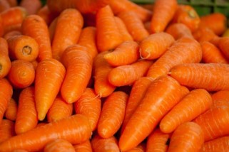 Фото: Посадка моркови в открытый грунт весной. Лучшие дни по лунному календарю в апреле 2024 года