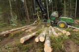 Фото: В поле зрения Комитета госконтроля Гродненской области реализация Государственной программы «Белорусский лес»