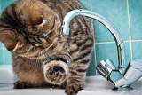 Фото: С 12 мая в Лиде будет временно отсутствовать горячее водоснабжение. Узнайте, по каким адресам