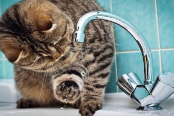 Фото: С 12 мая в Лиде будет временно отсутствовать горячее водоснабжение. Узнайте, по каким адресам