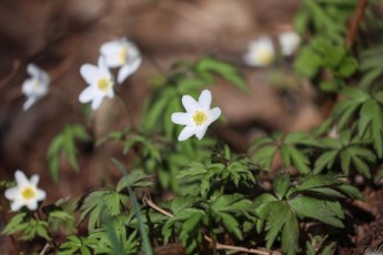 Фото: Чем порадует погода? Дмитрий Рябов дал прогноз на 13-19 апреля