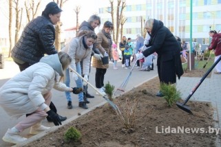 Фото: Что планируют сделать в Лиде на республиканском субботнике и куда направят заработанные деньги