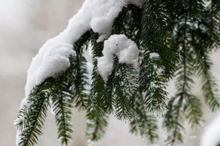 Фото: От -20 до +5. Кардинально изменится погода в Беларуси на этой неделе Фото: От -20 до +5. Кардинально изменится погода в Беларуси на этой неделе