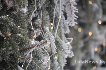 Фото: Надолго ли оттепель в Беларуси? Синоптики рассказали о погоде на 12-14 февраля