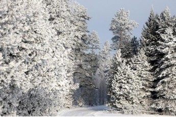 Фото: Температурные качели в Беларуси: когда опять будем сильно мерзнуть