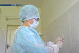 Фото: Предотвратить бешенство поможет вакцинация