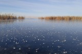 Фото: Первые жертвы тонкого льда: в Быховском районе Могилевской области утонул мужчина