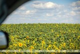 Фото: Как пользоваться кондиционером в жару без вреда для здоровья, рассказали в ГАИ 