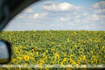 Фото: Как пользоваться кондиционером в жару без вреда для здоровья, рассказали в ГАИ 