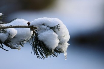 Фото: Долгожданная оттепель. Какая погода будет в Беларуси с 23 февраля