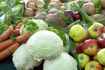 Фото: Корреспондент вернулся с рынка: что почем? Семена, саженцы и первая клубника