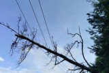 Фото: Последствия разгула стихии устраняют в Гродненской области 