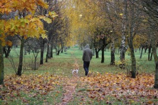 Фото: Лидчанка предлагает благоустроить сквер по ул. Гастелло