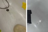 Фото: Реконструкция объездной дороги в Лиде: причины временного ухудшения качества воды