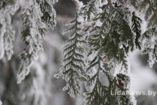 Фото: Календарь праздников и дат с 7 по 27 февраля