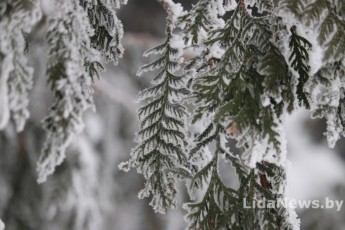 Фото: Календарь праздников и дат с 7 по 27 февраля