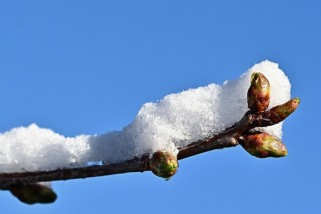 Фото: Народные приметы на Масленицу: во что верили наши предки