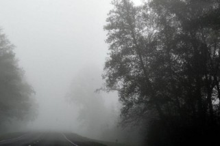 Фото: Слабый туман и гололед ожидаются в Беларуси 7 декабря