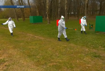 Фото: В Лидском районе всё чаще фиксируют укусы паразитов