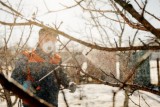 Фото: Садим, опрыскиваем, укрываем