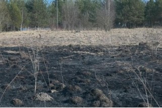 Фото: В Лидском районе участилось количество происшествий, связанных с возгоранием сухой растительности
