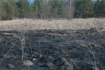 Фото: В Лидском районе участилось количество происшествий, связанных с возгоранием сухой растительности