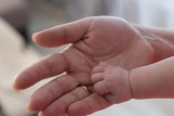 Фото: В Беларуси в День Независимости родились 116 малышей, есть среди них и двойни Фото: В Беларуси в День Независимости родились 116 малышей, есть среди них и двойни