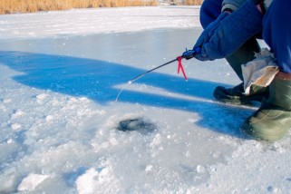 Фото: О мерах по предотвращению предзаморных и заморных явлений