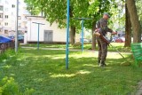 Фото: Работники косили газон и разбили вам окно. Будет ли компенсация?