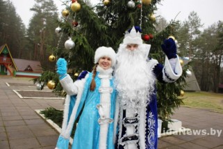 Фото: Срубили под самый корешок: история одной лидской елочки 