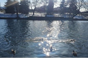 Фото: Ждать ли весеннего солнца в праздничное воскресенье 8 Марта, ответили в Белгидромете 