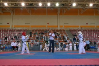 Фото: В День народного единства в Лиде прошёл турнир по кёкусинкан карате
