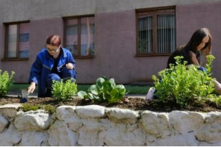 Фото: На предприятиях Лидчины активно трудятся бойцы студенческих отрядов