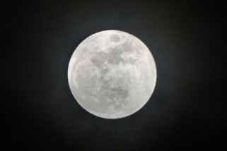 Фото: Лунный календарь для садоводов и огородников с 21 по 23 апреля 2026 года