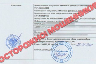 Фото: Мошенники наживаются на доверчивых покупателях авто: с начала месяца обмануты 49 россиян