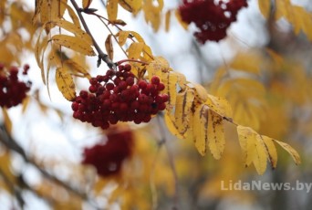 Фото: Фоторепортаж: Ноябрь в городе