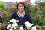 Фото: Полсотни сортов пионов растут в саду непрерывного цветения у Янины Прокопчик