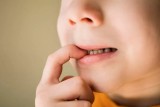 Фото: Стоматит у детей: что надо знать родителям? Фото: Стоматит у детей: что надо знать родителям?