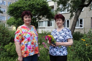 Фото: Из пустыря – в цветущий сад