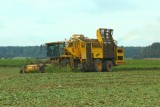 Фото: Уборка сахарной свёклы в сельхозпредприятиях «Ёдки-Агро», «Можейково» и совхоз «Лидский»