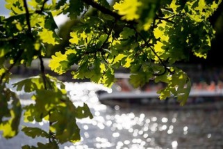 Фото: Какие факторы опасности возникают в жару, рассказали в МЧС