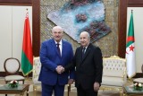 Фото: Александр Лукашенко: Беларусь и Алжир в ближайшие год-два должны выйти на товарооборот хотя бы $500 млн
