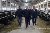 Фото: В Лидском районе состоялся рейд по территориям государственной и частной форм собственности