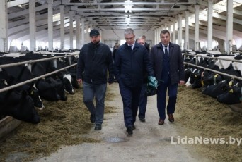 Фото: В Лидском районе состоялся рейд по территориям государственной и частной форм собственности