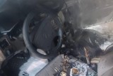Фото: Обзор огненных ЧП в Лидском районе за 1 июня